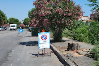 lavori pista ciclabile viale dello sport 010