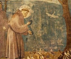 san francesco