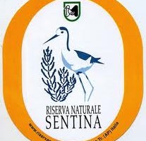 sentina logo