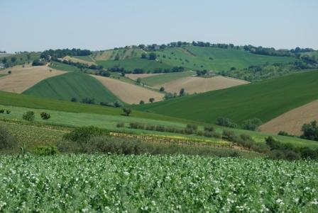 piano regionale di sviluppo rurale