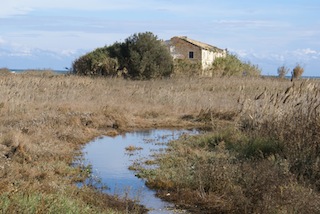 Foto Massimo Bartolozzi