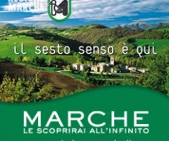 marche tourism