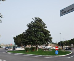 piazza setti carraro 1