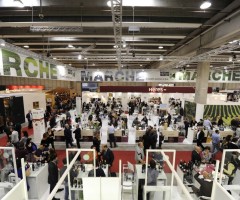 vinitaly marche