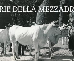 mezzadria